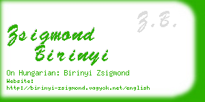 zsigmond birinyi business card